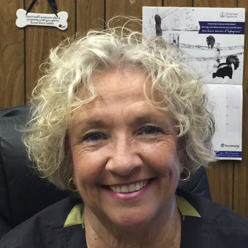 Dr. Lynne Sandifar, DVM, owner of Gulf Coast Veterinary Hospital