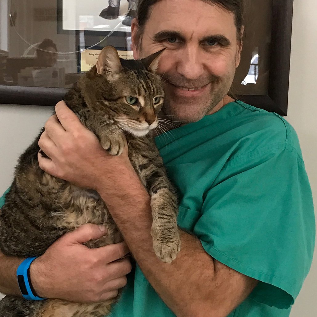 Kyle, a member of the Gulf Coast Veterinary Hospital team, holding a cat